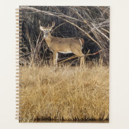 Deer in the Thicket Planner