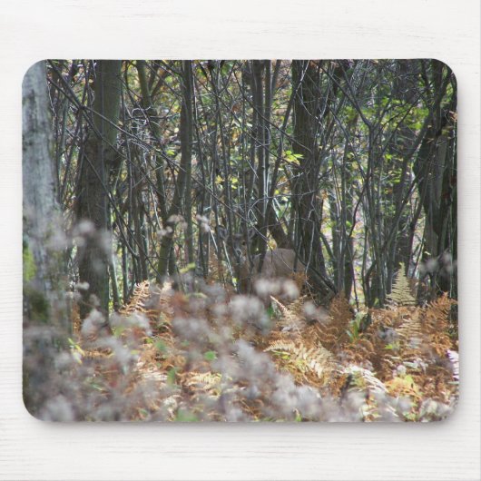 Deer in West Virginia Muismat (Voorkant)