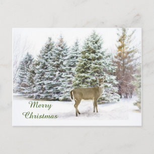 Deer in Winter Wonderland Merry kerstBriefkaart Feestdagenkaart