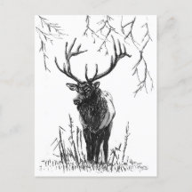 Deer-jacht, vakantie-briefkaart