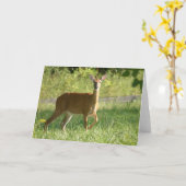 Deer Kaart (Gele Bloem)