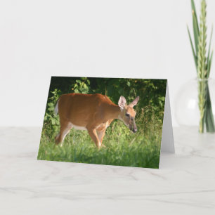 Deer Kaart