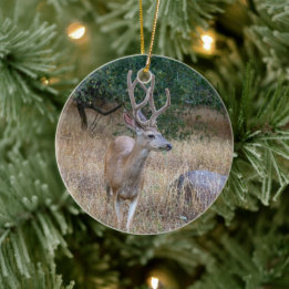 Deer Kerstsierent Keramisch Ornament