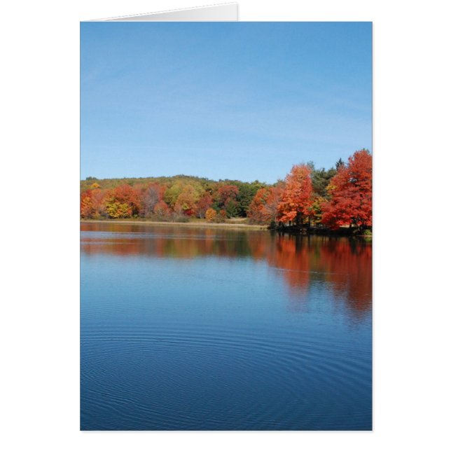 Deer Lake (Voorkant)