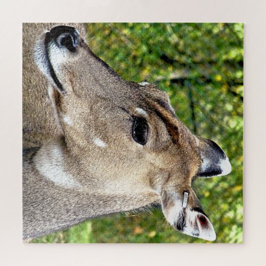 DEER LEGPUZZEL (Horizontaal)