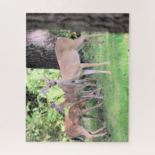 Deer Legpuzzel
