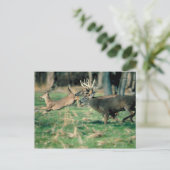 Deer loopt in het bos briefkaart (Staand voorkant)