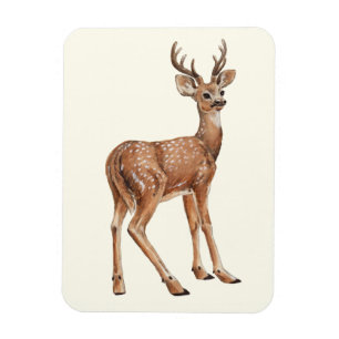 Deer Magneet