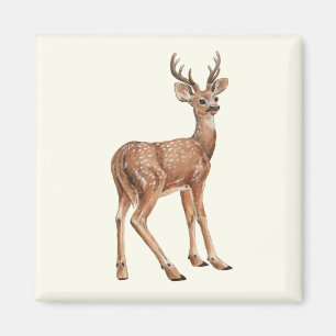 Deer Magneet