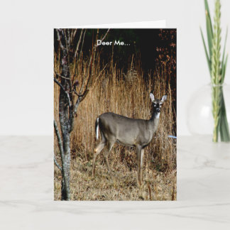 Deer Me Get Well Card Featuring a Beautiful Doe Kaart