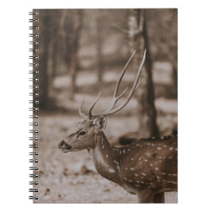 DEER MET ANTLERS NOTITIEBOEK