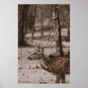 DEER MET ANTLERS POSTER