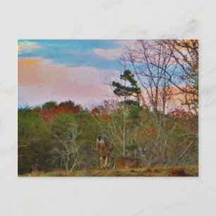 Deer met een roze blauwe lucht briefkaart