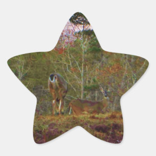 Deer met een roze blauwe lucht ster sticker