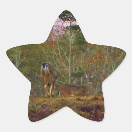 Deer met een roze blauwe lucht ster sticker (Voorkant)