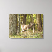 Deer mij canvas afdruk (Voorkant)