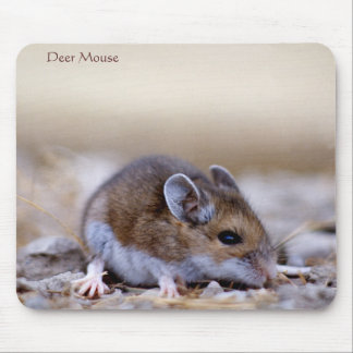 Deer Mouse op een Mousepad Muismat