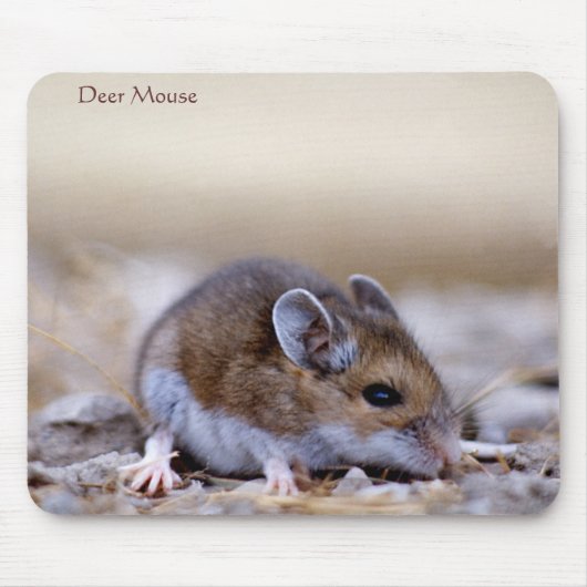 Deer Mouse op een Mousepad Muismat (Voorkant)