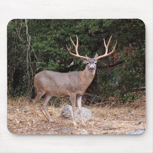 Deer Mousepad Muismat (Voorkant)