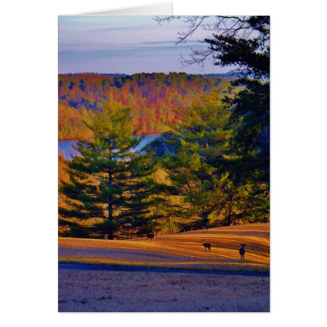 Deer & Mt Lake (Voorkant)