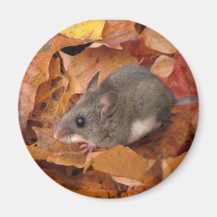 Deer-muis Magnet Magneet
