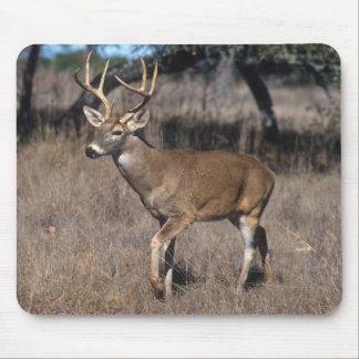 Deer Muismat