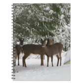 Deer Notitieboek (Voorkant)