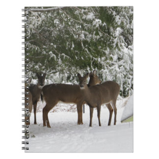 Deer Notitieboek