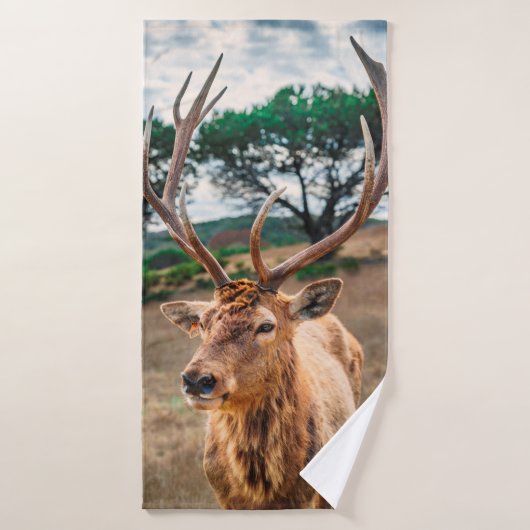 DEER OP BROWN GRASS-GEBIED ONDER GRAY CLOUDY SKY BADHANDDOEK (Badhanddoek)