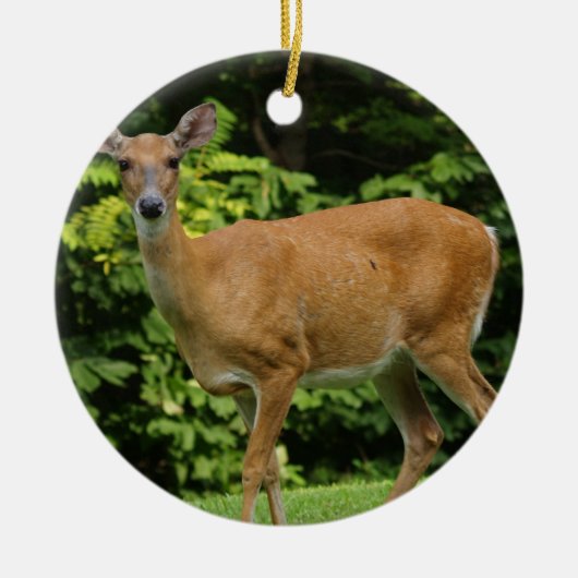 Deer Ornament (Voorkant)