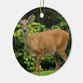 Deer Ornament (Links)