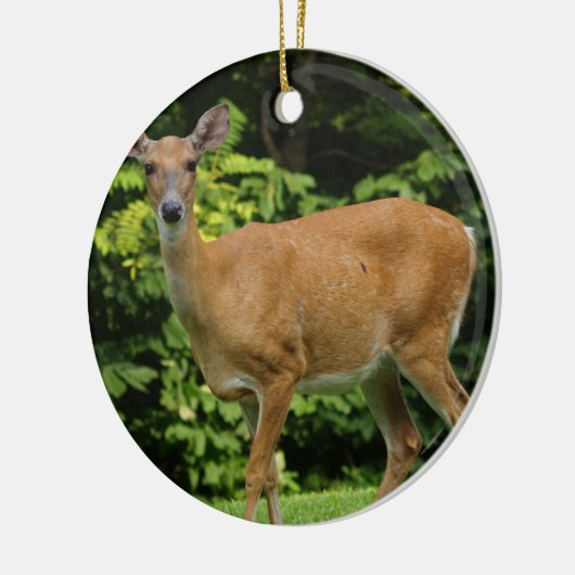 Deer Ornament (Links)