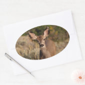 Deer Oval Sticker (Envelop)