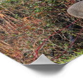 Deer par Bush Photo Poster (Coin)