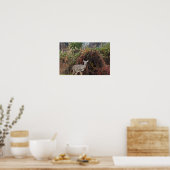 Deer par Bush Photo Poster (Cuisine)