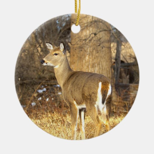Deer Photo Ornament (Voorkant)