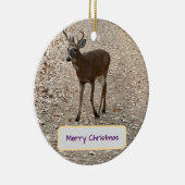 Deer Photo Ornament (Rechts)