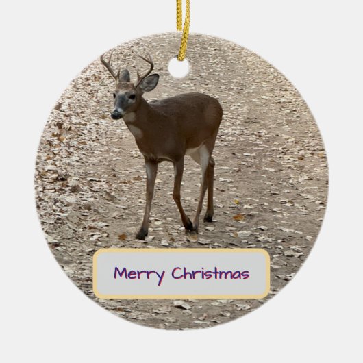Deer Photo Ornament (Voorkant)