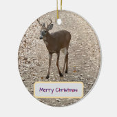 Deer Photo Ornament (Links)