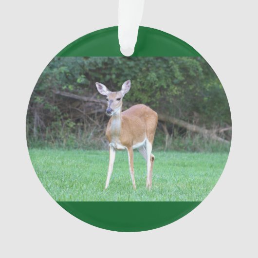 Deer Photo Ornament (voorkant)