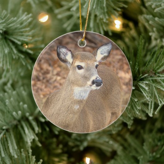 Deer Photo Ornament  (Boom)