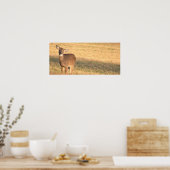 Deer Photo Poster (Keuken)