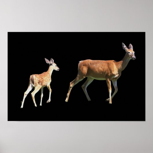 Deer Poster (Voorkant)
