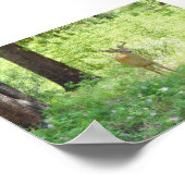 Deer Poster (Hoek)