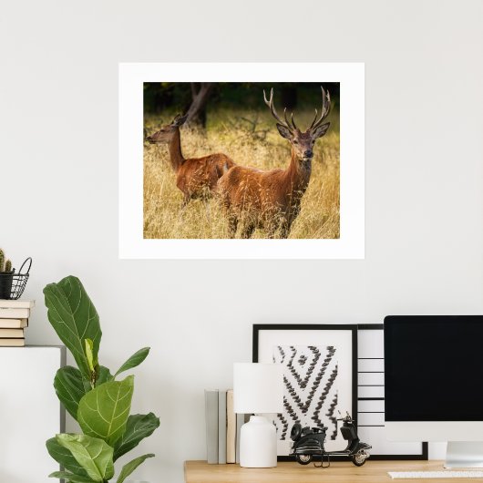 Deer Poster (Thuiskantoor)