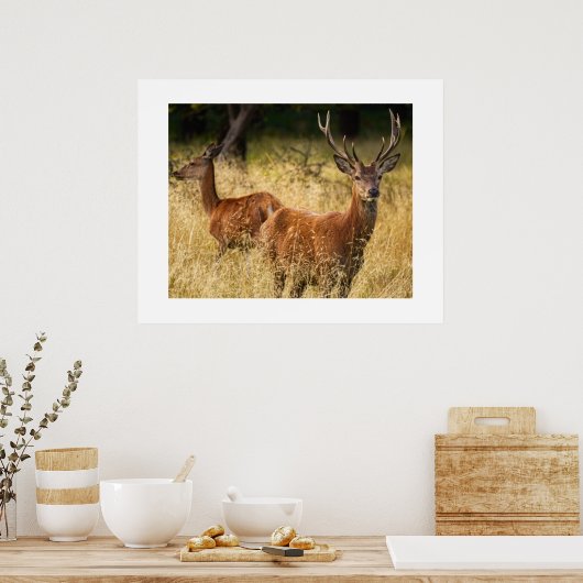 Deer Poster (Keuken)