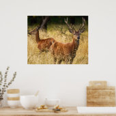Deer Poster (Keuken)