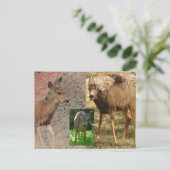 Deer Raspberries III Briefkaart (Staand voorkant)