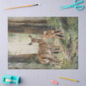 Deer Redwood Forest Waterverf Tissuepapier (Craft)