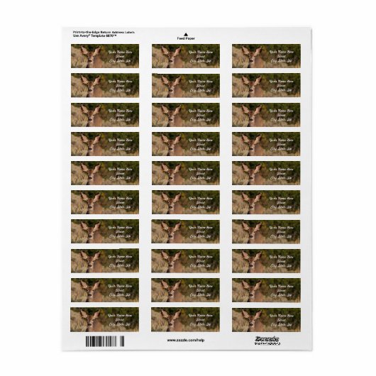 Deer Return Address Sticker (Full Sheet)